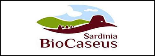 New Entry: Sardinia Caseus