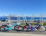 Buy Barter: City Bike – Italia