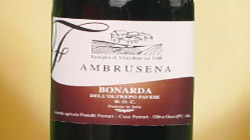 Export Price: Bonarda Ambrusena – Lombardia