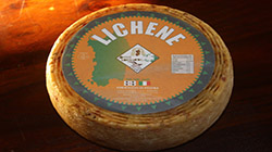 Export & Price: Pecorino Sardo – Sardegna