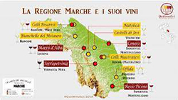 Italy & Travel: Food & Wine Tour – Marche