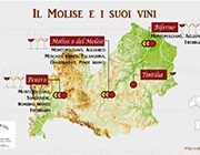 Italy Wine: Wine Tour – Molise