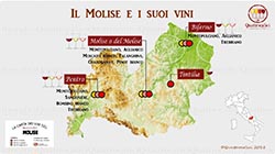 Italy & Travel: Food & Wine Tour – Molise
