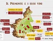 Italy Wine: Wine Tour – Piemonte
