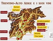 Italy Wine: Wine Tour – Trentino