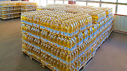Stock Price: Sud Sun Olio Girasole – Emilia