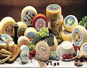 Stock Price: Quality Tasting Caseificio Manciano – Toscana