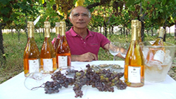 Stock Price: Moscato di Trani – Puglia