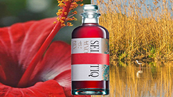 Stock Price: Apulia Gin – Emilia