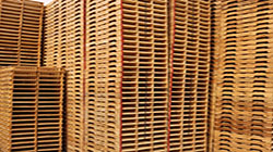 Stock Price: Pallets Epal – Marche