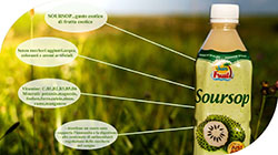Stock Price: Quality Tasting Soursop – Slovacchia