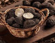 Export Selected Quality: Piemonte