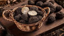 Export Selected Quality: Piemonte