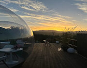 Excellent Selected Quality: Basilicata