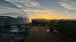 Excellent Selected Quality: Basilicata