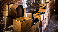 Export Selected Quality: Emilia