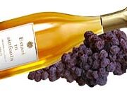 Export Selected Quality: Puglia