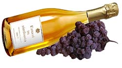 Export Selected Quality: Puglia