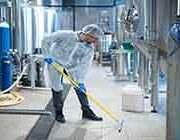 Export Selected Quality: Emilia