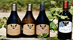 Export Selected Quality: Sicilia