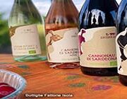 Export Selected Quality: Sardegna