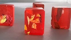 Export Selected Quality: Umbria