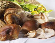 Export Selected Quality: Lombardia