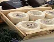 Export Selected Quality: Sardegna