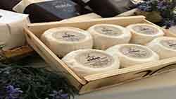 Export Selected Quality: Sardegna