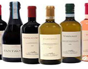 Export Selected Quality: Marche