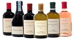 Export Selected Quality: Marche