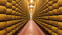 Export Selected Quality: Trentino