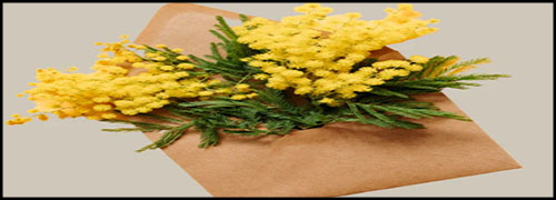 “Festa Della Donna”