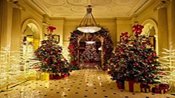 Stock Market. Natale 2026 – Veneto